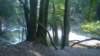 dsc00685_small.jpg
