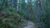dsc00686_small.jpg