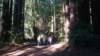 dsc00687_small.jpg