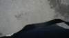 dsc01043_small.jpg