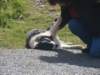 dsc01055_small.jpg