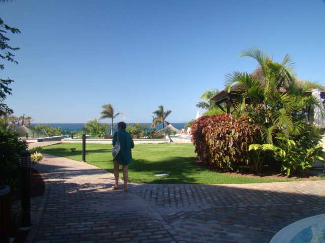 dsc00560.jpg