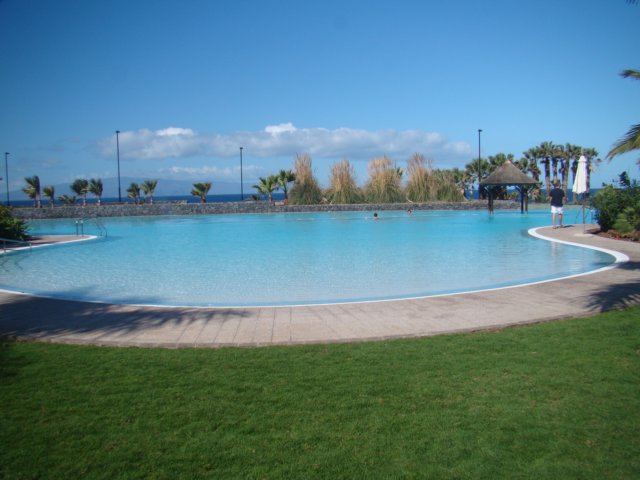 dsc00563.jpg
