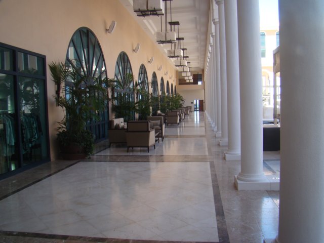 dsc00569.jpg