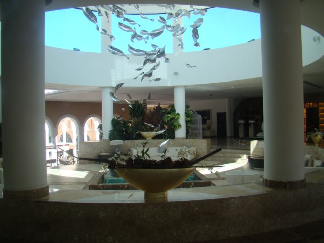 dsc00572.jpg