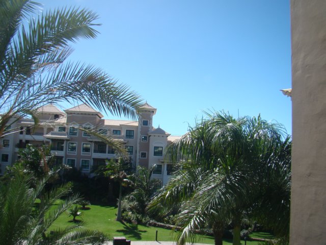 dsc00576.jpg
